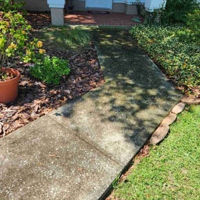 Bush Trimming by Casper Lawncare reviewed on April 22, 2025