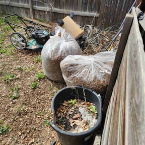 Leaf Removal by Guillorys. S.S. reviewed on May 27, 2022