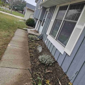 Leaf Removal by Sgp Lawn services reviewed on August 5, 2022
