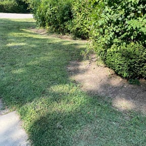 Cleanups by D&N Anointed Services reviewed on June 14, 2022