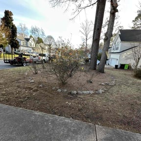 Leaf Removal by Jeremy Faulk LLC reviewed on April 12, 2022