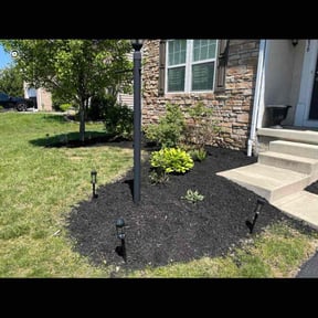 Mulching by Jernie Lawn Care reviewed on June 14, 2022