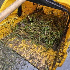Leaf Removal by C&C Lawn Care reviewed on March 23, 2022