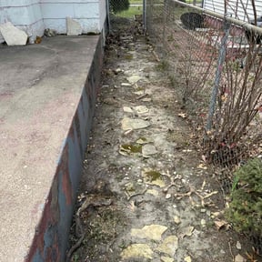Flower Bed Weeding by Pro Stripe Lawn Care, LLC reviewed on June 28, 2022