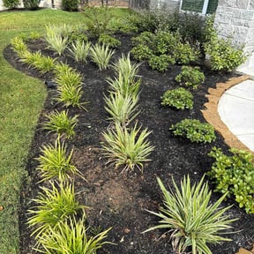 Flower Bed Weeding by Chris’s Lawn Service reviewed on June 4, 2020