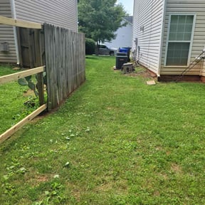 Bush Trimming by Fiechtner Landscape Services reviewed on June 30, 2022
