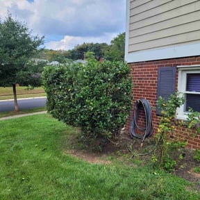 Bush Trimming by R&B Lawncare reviewed on March 14, 2022
