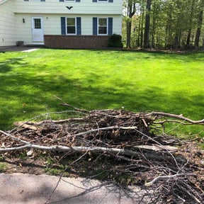 Cleanups by WestSide Landscaping reviewed on June 13, 2025