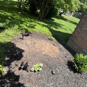 Flower Bed Weeding by Mieozzies Lawn Service LLC reviewed on March 20, 2025