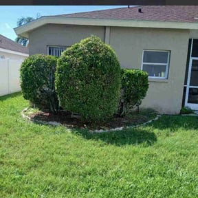 Bush Trimming by Weston Ward reviewed on July 12, 2025