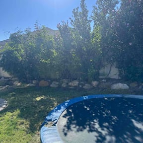 Flower Bed Weeding by A man and his mower reviewed on July 30, 2022
