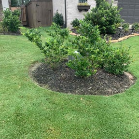 Flower Bed Weeding by Solid Ground Landscaping reviewed on July 19, 2022