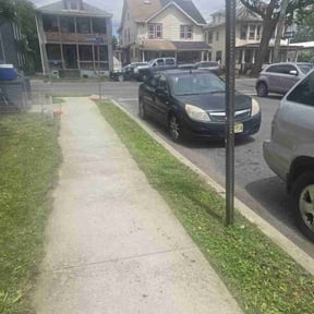 Cleanups by Leafmans lawn care llc reviewed on July 11, 2022