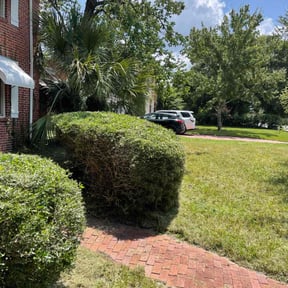 Bush Trimming by Cutting Edge Outdoor work LLC reviewed on June 8, 2022