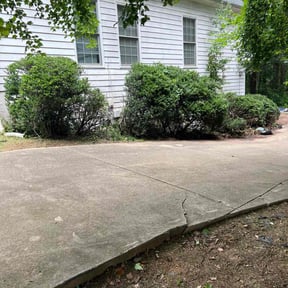 Bush Trimming by Court Landscaping reviewed on April 8, 2025