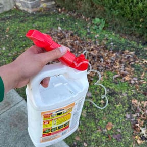 Flower Bed Weeding by Under Pressure reviewed on June 2, 2022