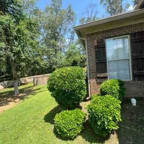Bush Trimming by B&SS reviewed on June 21, 2022