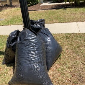 Leaf Removal by Orlando Palms reviewed on July 6, 2025