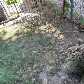 Leaf Removal by Your Next Cut Lawn Services reviewed on November 23, 2021