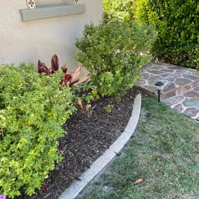 Mulching by Dee Jays lawn service reviewed on May 25, 2022