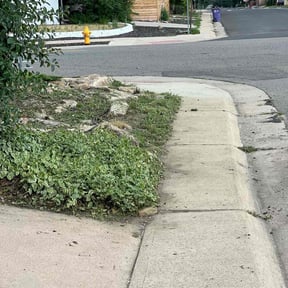 Cleanups by Cleaning in the mountains reviewed on November 13, 2024