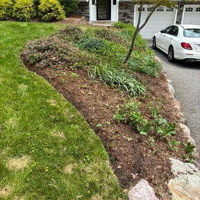 Leaf Removal by Nate dawgs lawn care reviewed on July 9, 2022
