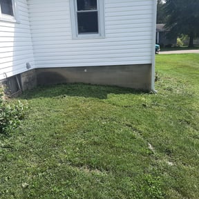 Bush Trimming by Mann Services reviewed on May 9, 2022
