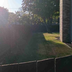 Cleanups by Chucks Cutz LLC reviewed on July 1, 2022