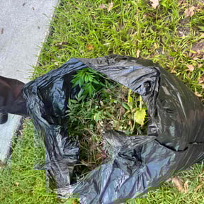 Weeding by John's Lawn Maintenance reviewed on August 19, 2024