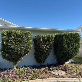 Bush Trimming by SRC Lawn Care reviewed on May 24, 2022