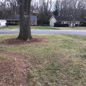 Leaf Removal by Creative Lawn Cuts &amp; Landscaping reviewed on April 6, 2025