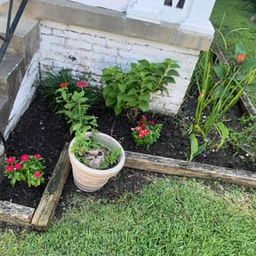 Landscaping by Get you right lawn care reviewed on August 5, 2023