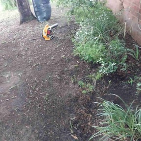 Leaf Removal by Moises Perez reviewed on August 2, 2022