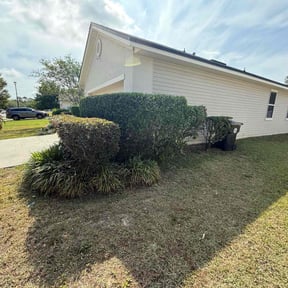 Bush Trimming by D.L.C / Daughtery Lawn Care reviewed on December 1, 2022
