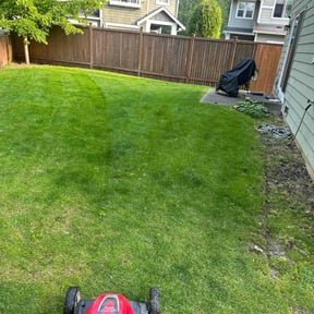 Lawn Seeding by Kevin& son's llc reviewed on June 1, 2022