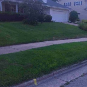 Lawn Seeding by andrew ledbetter reviewed on May 19, 2022