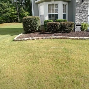 Bush Trimming by Lee's Lawn Care reviewed on November 13, 2022
