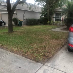 Bush Trimming by electric landscaping llc reviewed on December 17, 2024