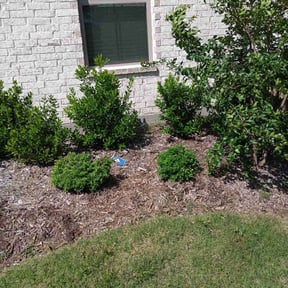 Flower Bed Weeding by Lawnthilan reviewed on November 25, 2024