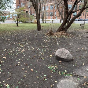 Leaf Removal by WBG Lawn Solutions reviewed on July 14, 2025