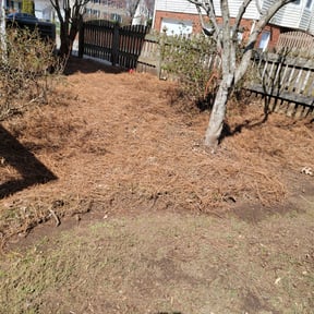 Mulching by Stream Scene Landscaping reviewed on August 2, 2024