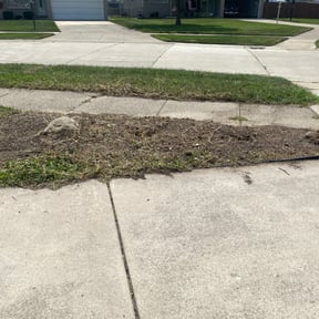 Weed Pulling by Shoregreen Lawn Maintenance LLC reviewed on May 11, 2022