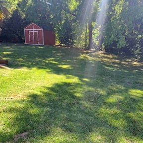 Leaf Removal by LSLTDallas/FortWorthTruGreen reviewed on June 17, 2025