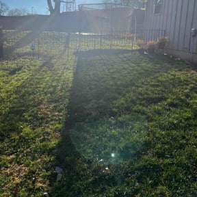 Leaf Removal by JA Performance Outdoor Services reviewed on December 7, 2024