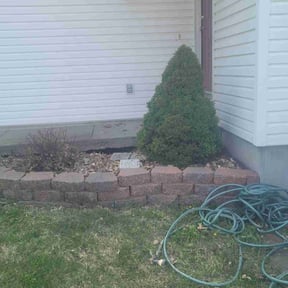 Bush Trimming by JD Inc. reviewed on December 15, 2024