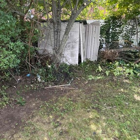 Cleanups by Davon Futrell reviewed on August 8, 2022