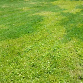 Cleanups by A job well done reviewed on June 2, 2022