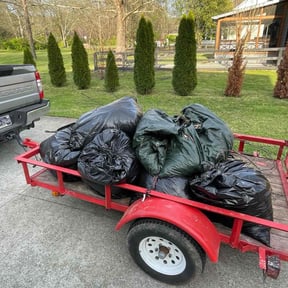 Leaf Removal by Goodfellas reviewed on July 17, 2020