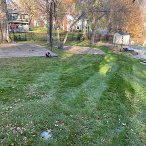 Leaf Removal by Dels Mow, Blow, and snow removal reviewed on July 7, 2025