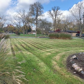 Leaf Removal by Jolo property Management reviewed on April 29, 2022